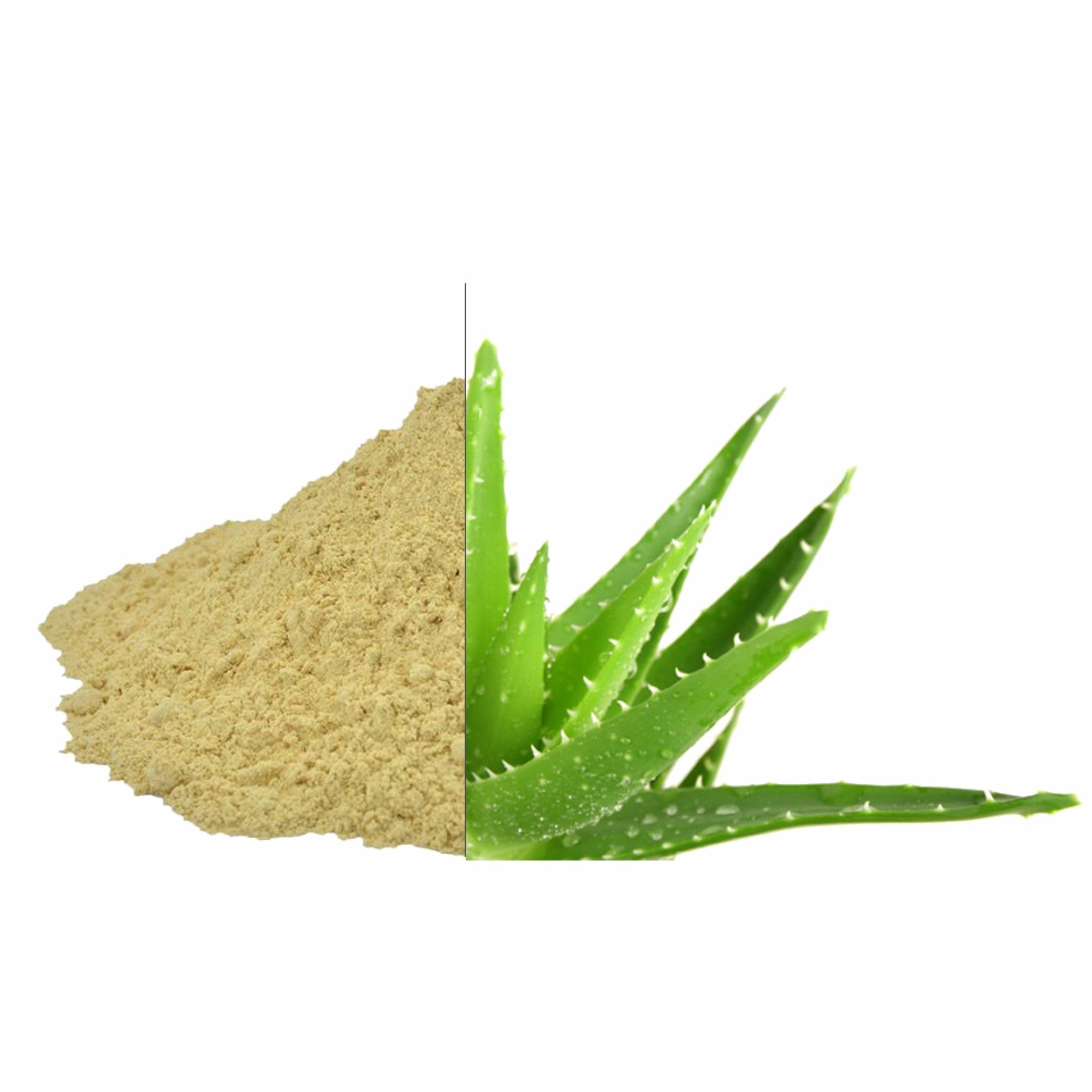 Aloe Vera Powder