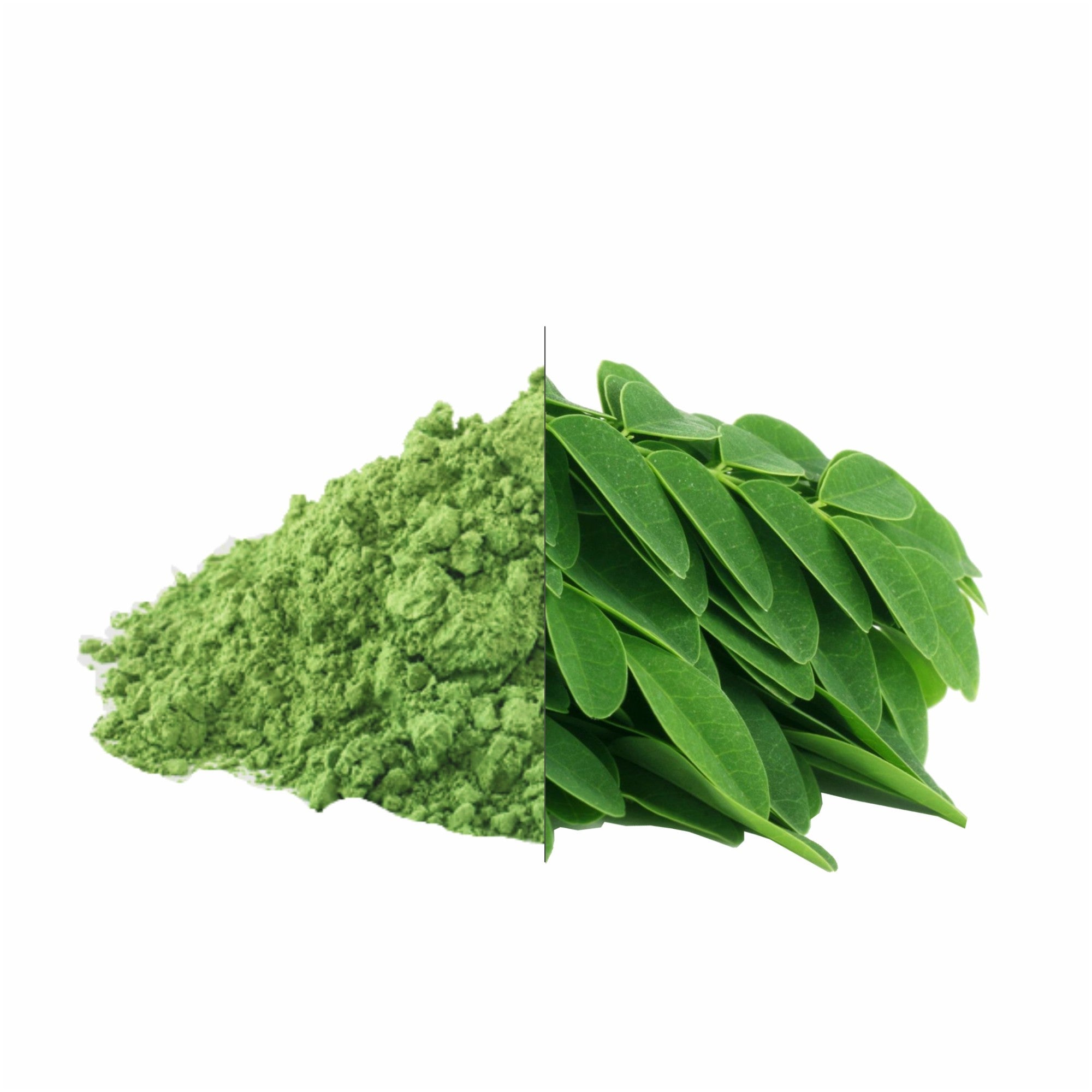Dried Moringa Leaves Powder