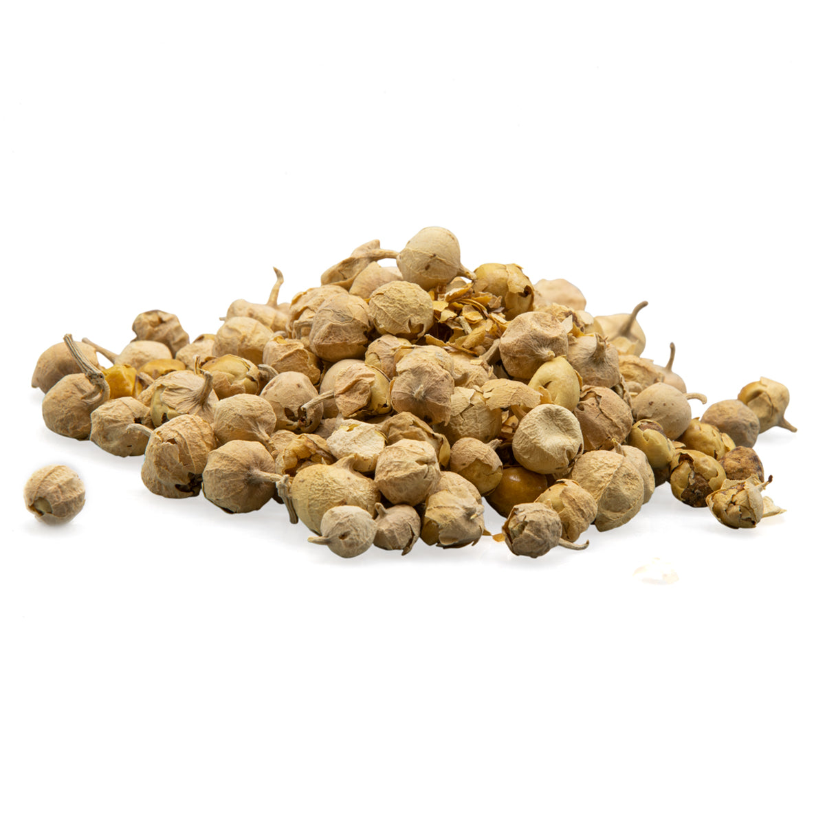 dodi plant seeds Paneer Phool / Paneer Dodi / Paneer Doda