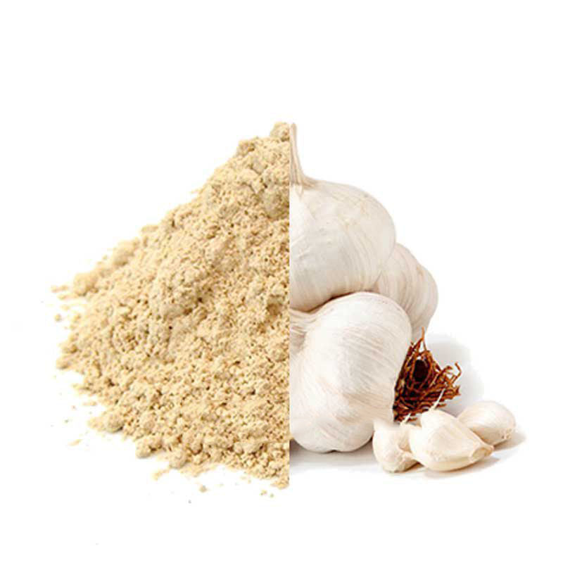 Garlic Powder