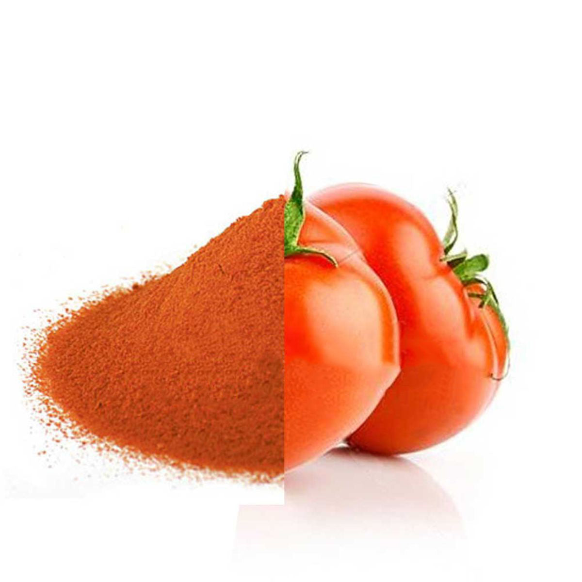 Tomato Powder (Spray Dried)